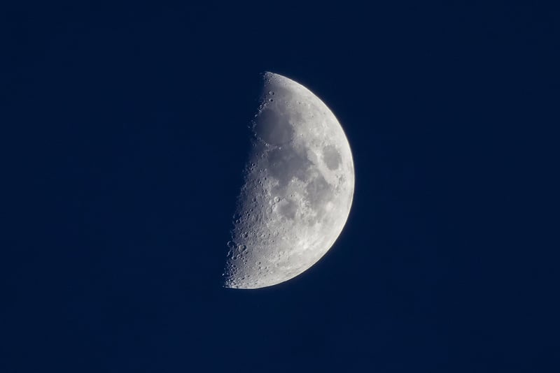 Lunar Settlements